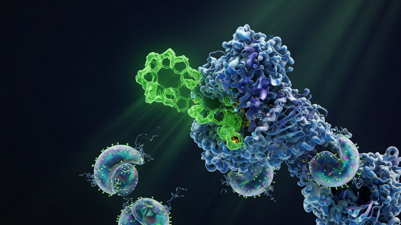 Estructura molecular de rapamicina inhibiendo el complejo mTORC1 con activación de autofagia celular