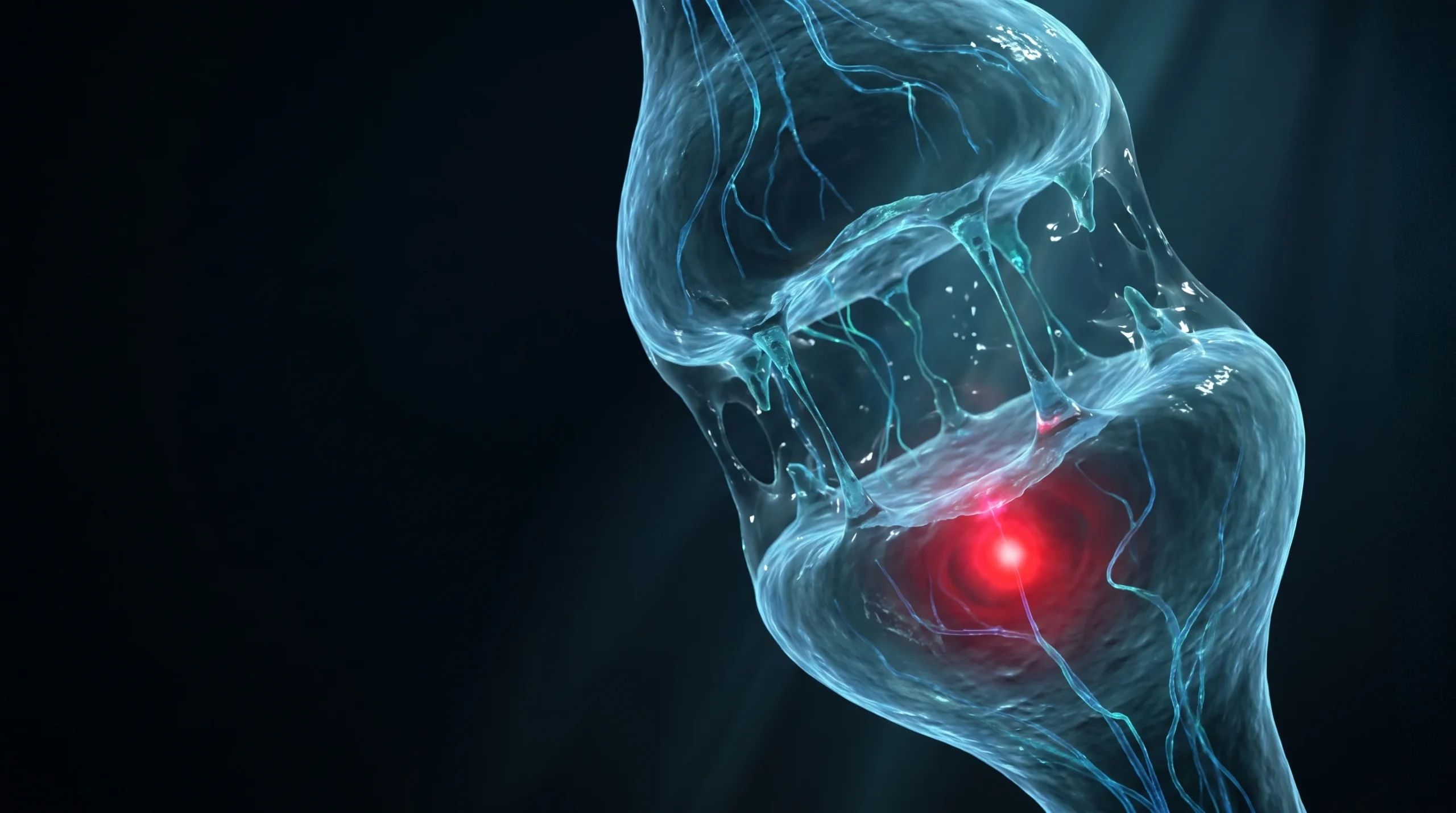 Ilustración microscópica de una sinapsis neuronal en formación con filamentos de luz azul y un nodo rojo de alerta, que representa el mecanismo propuesto de la dihexa sobre HGF y c-Met.