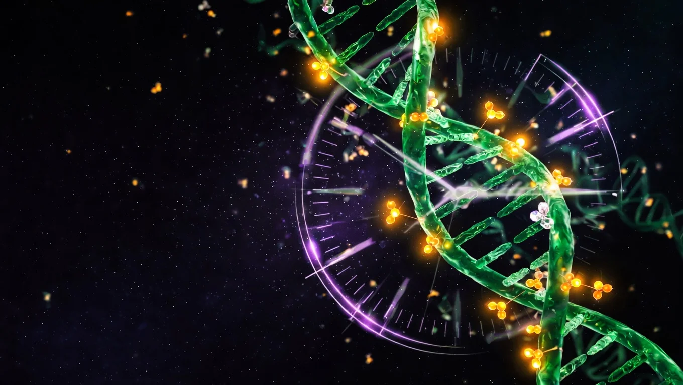 Doble helice de ADN con marcadores de metilacion CpG, representacion de los relojes epigeneticos que estiman la edad biologica.