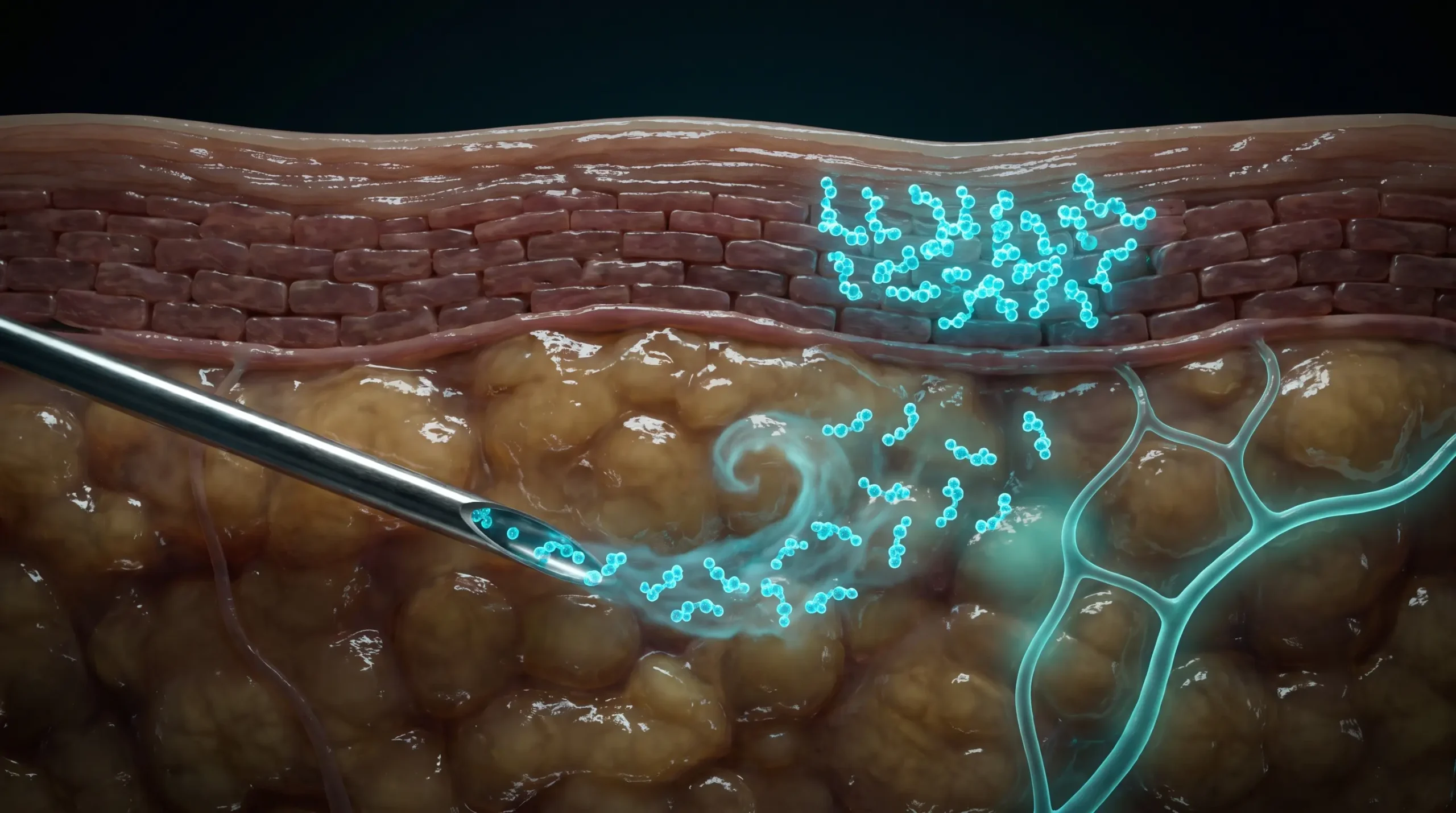Ilustración molecular de las vías de administración, con un péptido difundiendo desde el tejido subcutáneo hacia un capilar mientras otro idéntico queda bloqueado en la barrera del estrato córneo.