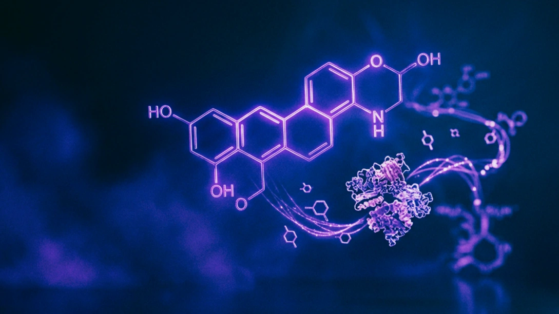 Estructura molecular de la berberina en violeta sobre fondo oscuro, con la vía AMPK y moléculas de glucosa al fondo.