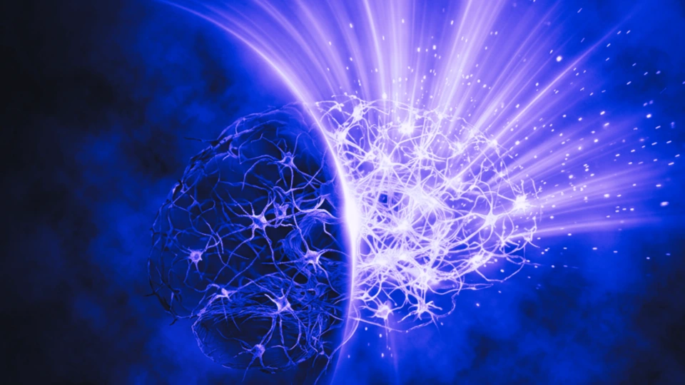 Neuronas del hipotálamo encendidas en turquesa disparando señales de vigilia frente a las mismas neuronas apagándose, metáfora del interruptor sueño-vigilia de la orexina.
