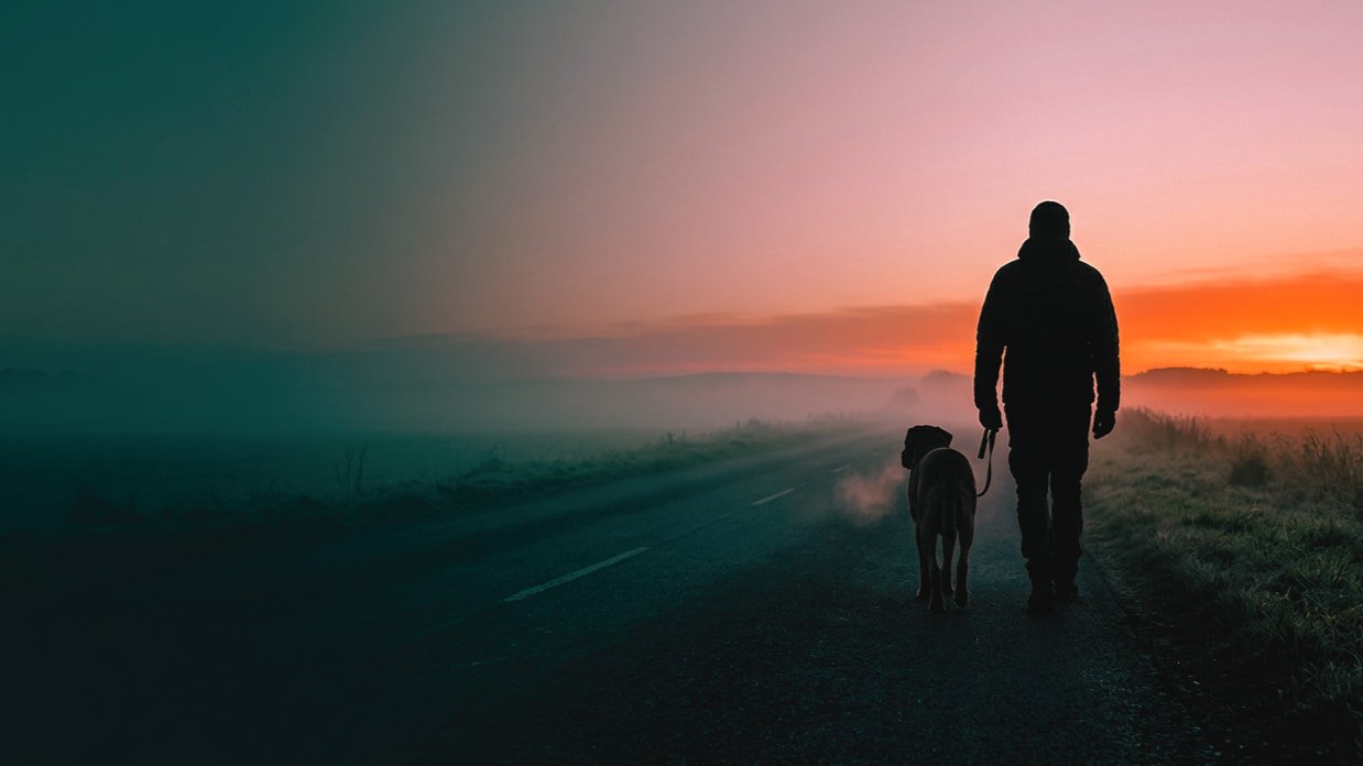 Silueta de una persona paseando a un perro al amanecer por una carretera vacía entre niebla azul y luz ámbar.