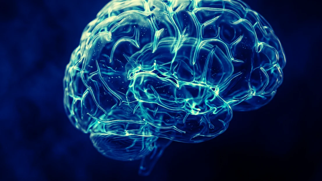 Cerebro abstracto translúcido recorrido por canales de fluido azul luminoso sobre fondo oscuro, que evoca el líquido cefalorraquídeo moviéndose por el tejido cerebral.