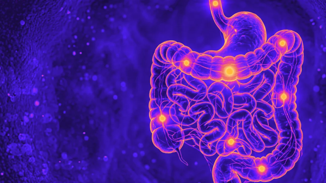 Visualización oscura y abstracta del intestino humano con cinco puntos de luz a lo largo del tracto, uno rojo de aviso y el resto verdes, que evoca un triaje de señales.