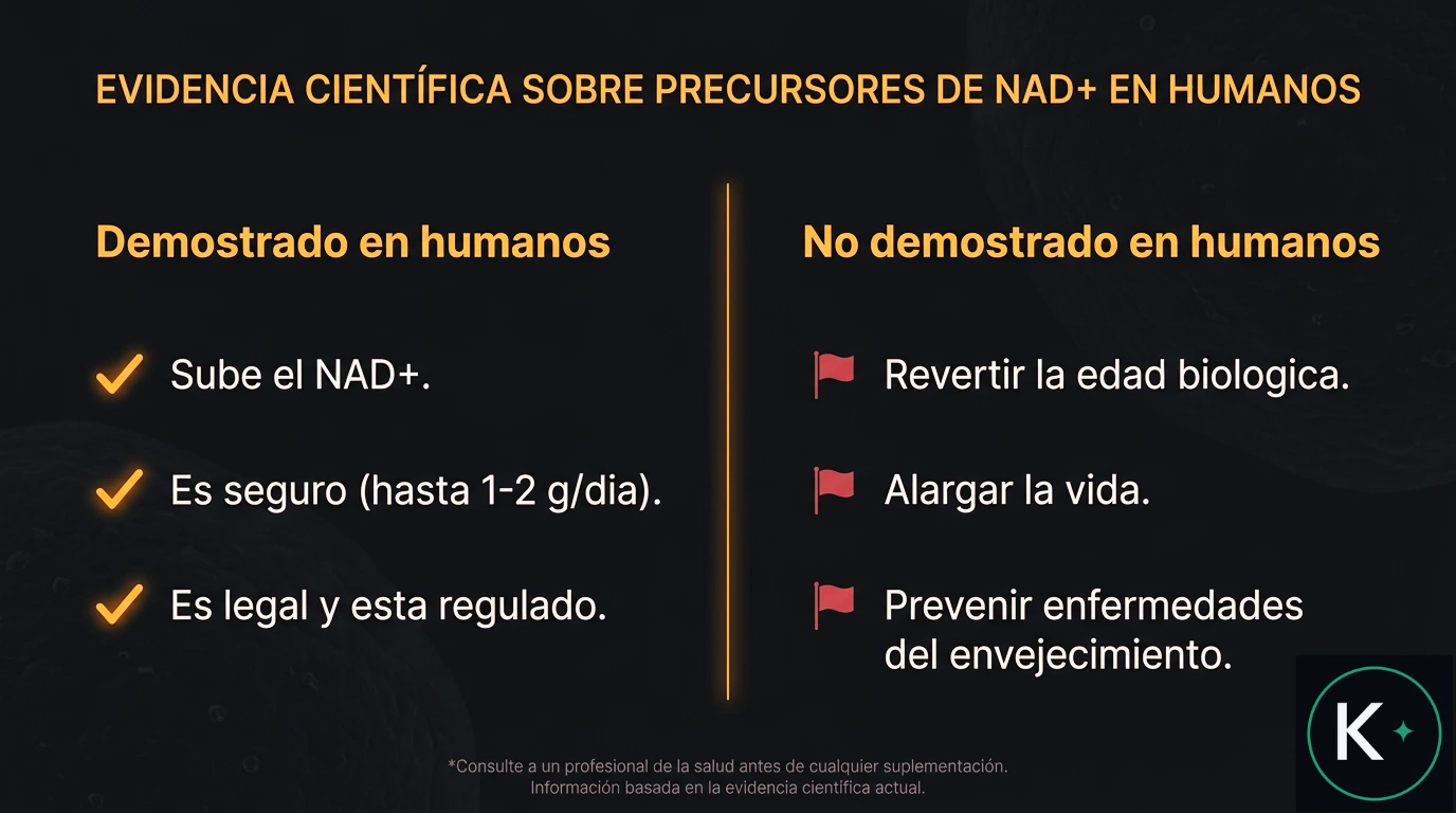 Diagrama de dos columnas que separa lo demostrado de Niagen en humanos (sube el NAD+, seguro, legal) de lo no demostrado (revertir la edad, alargar la vida, prevenir enfermedades).