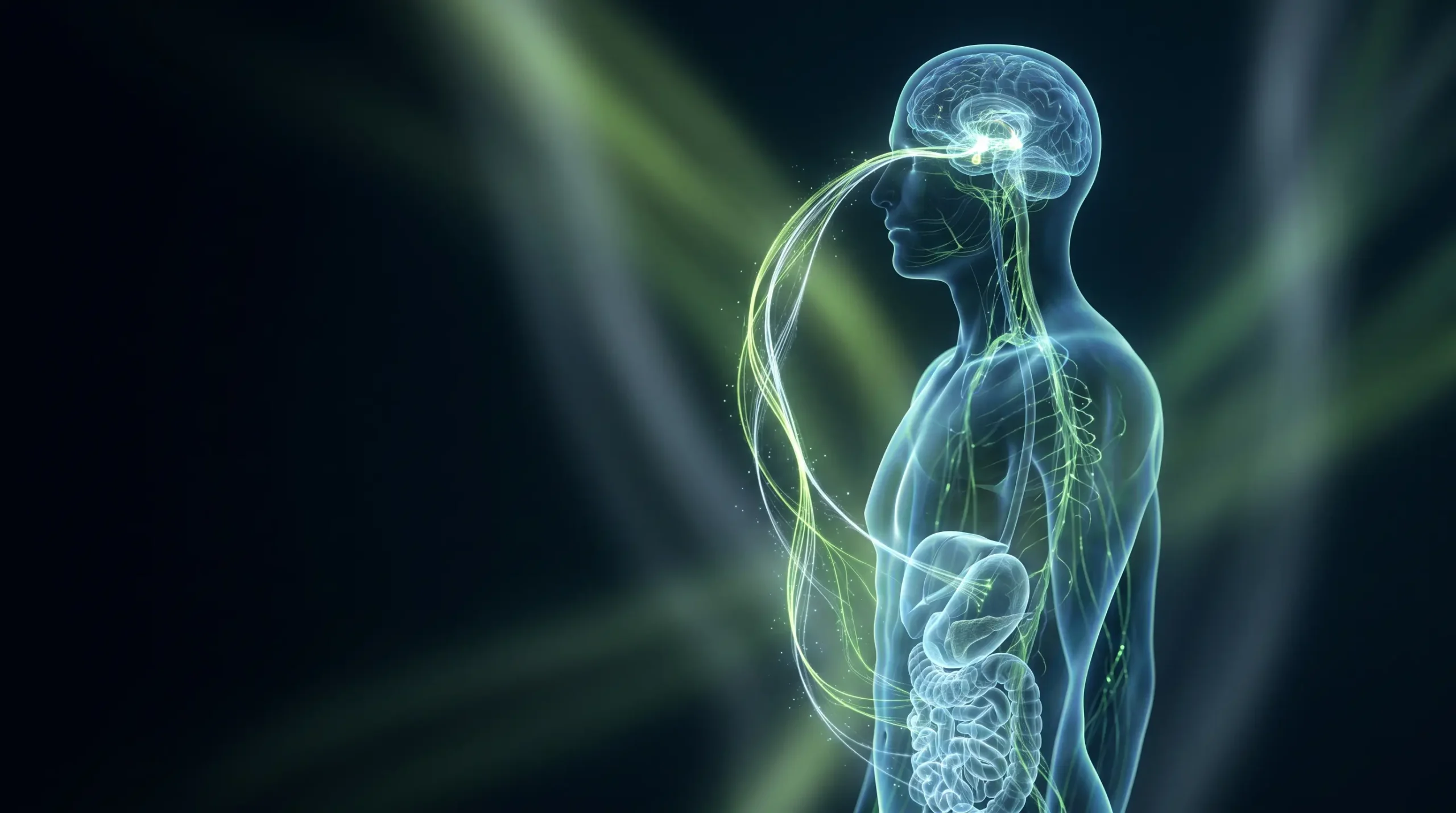Visualización editorial de una figura humana de perfil con una conexión iluminada entre el cerebro y el intestino, que representa el eje hormonal que regula el hambre y la saciedad.