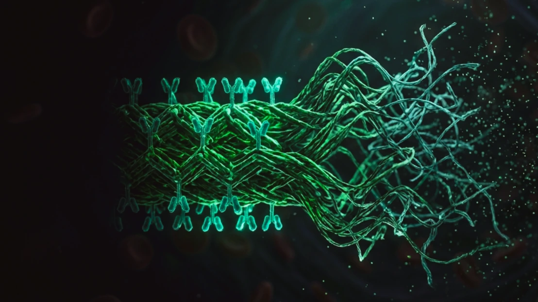 Fibras de cromatina ordenadas y verdes que se dispersan en desorden creciente dentro del núcleo de una célula, sobre fondo oscuro.