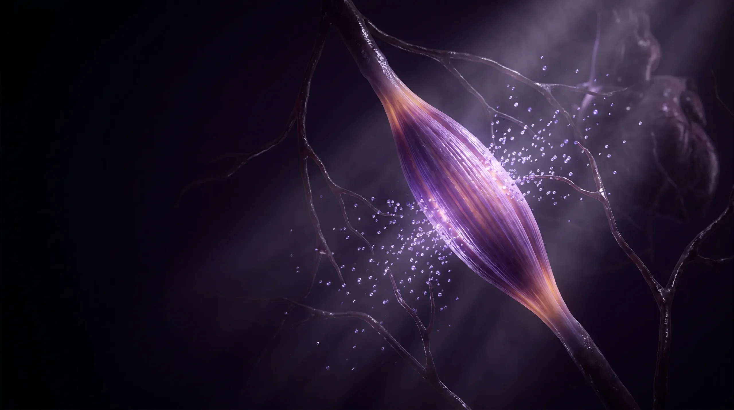 Una fibra muscular en contracción libera moléculas luminosas que viajan por la sangre hacia otros órganos, representando las mioquinas y el músculo como órgano endocrino.