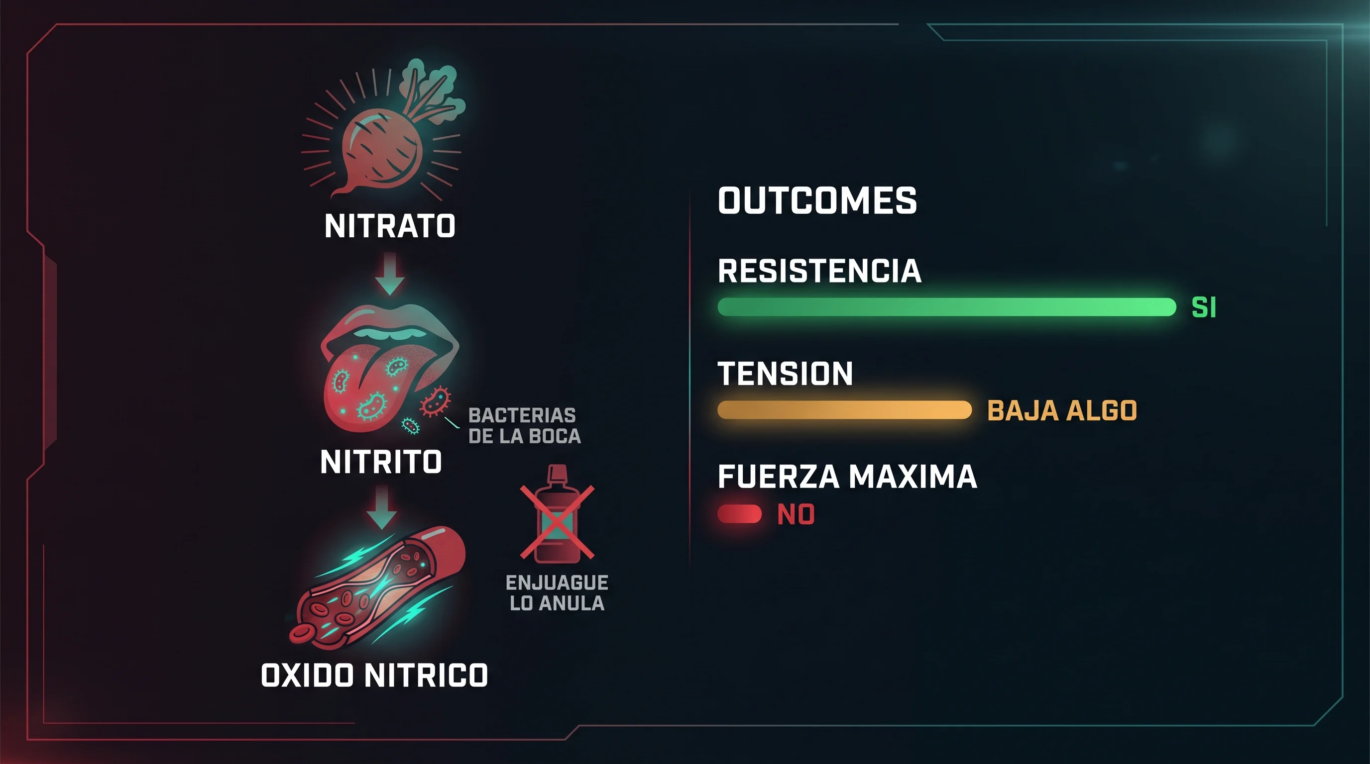 Diagrama que muestra la ruta del nitrato a nitrito por las bacterias de la boca y a óxido nítrico, con el enjuague bucal que la anula, junto a barras que indican que mejora la resistencia, baja algo la tensión y no sirve para la fuerza máxima.