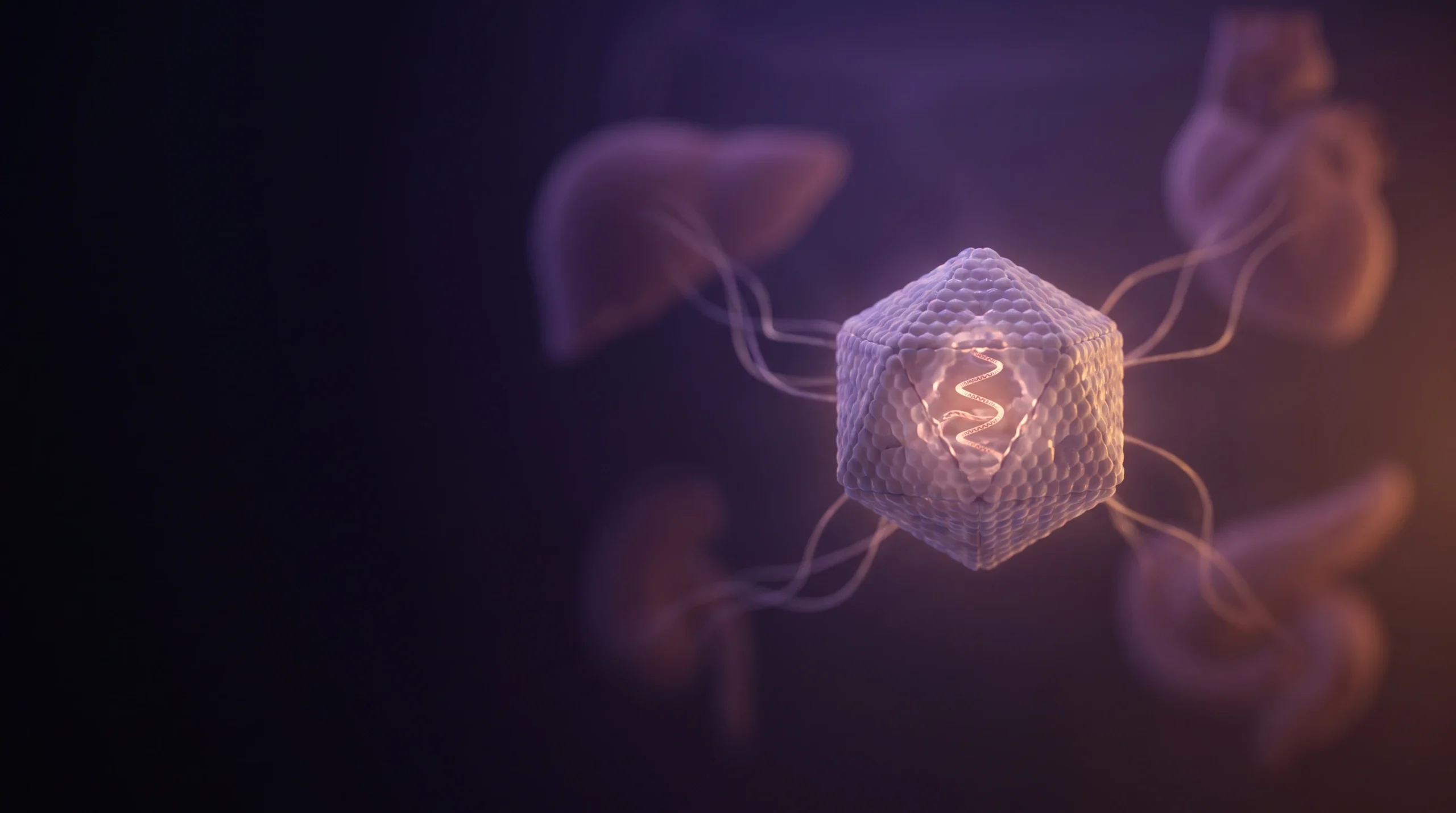 Cápside icosaédrica de un virus adenoasociado semitransparente con una hebra de código genético en su interior sobre fondo oscuro, una representación del vector AAV.