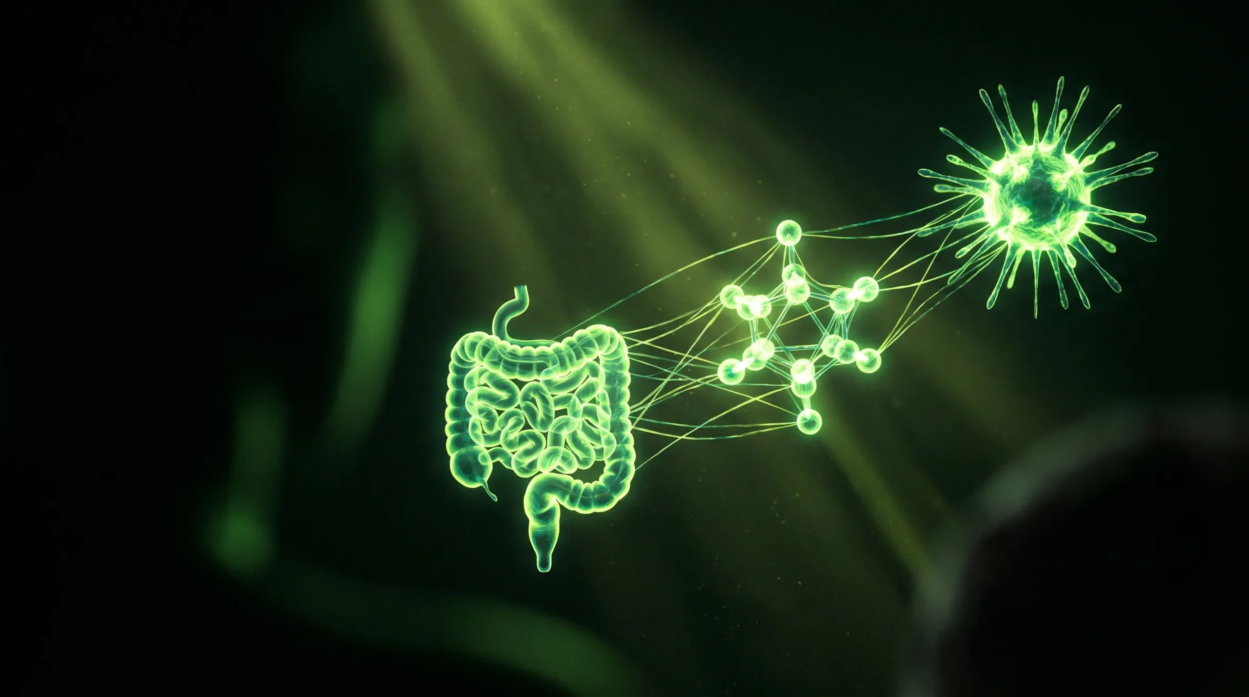 Escena conceptual de una red que une intestino, una hormona y una célula inmune con filamentos de luz sobre fondo oscuro, sin personas.