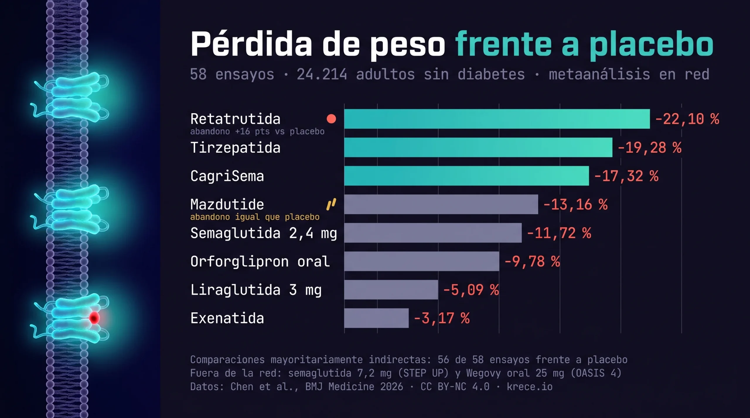 Infograf&iacute;a KRECE con la p&eacute;rdida de peso ajustada a placebo de retatrutida vs tirzepatida vs semaglutida y otros f&aacute;rmacos GLP-1 seg&uacute;n el metaan&aacute;lisis en red de BMJ Medicine 2026.