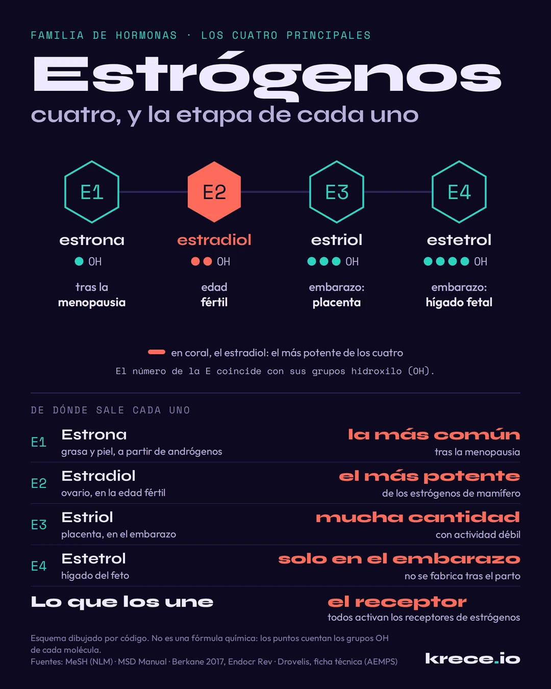 Los cuatro estr&oacute;genos naturales en fila: estrona (E1) con un grupo OH, estradiol (E2) con dos, estriol (E3) con tres y estetrol (E4) con cuatro, con la etapa en que predomina cada uno y de d&oacute;nde sale.