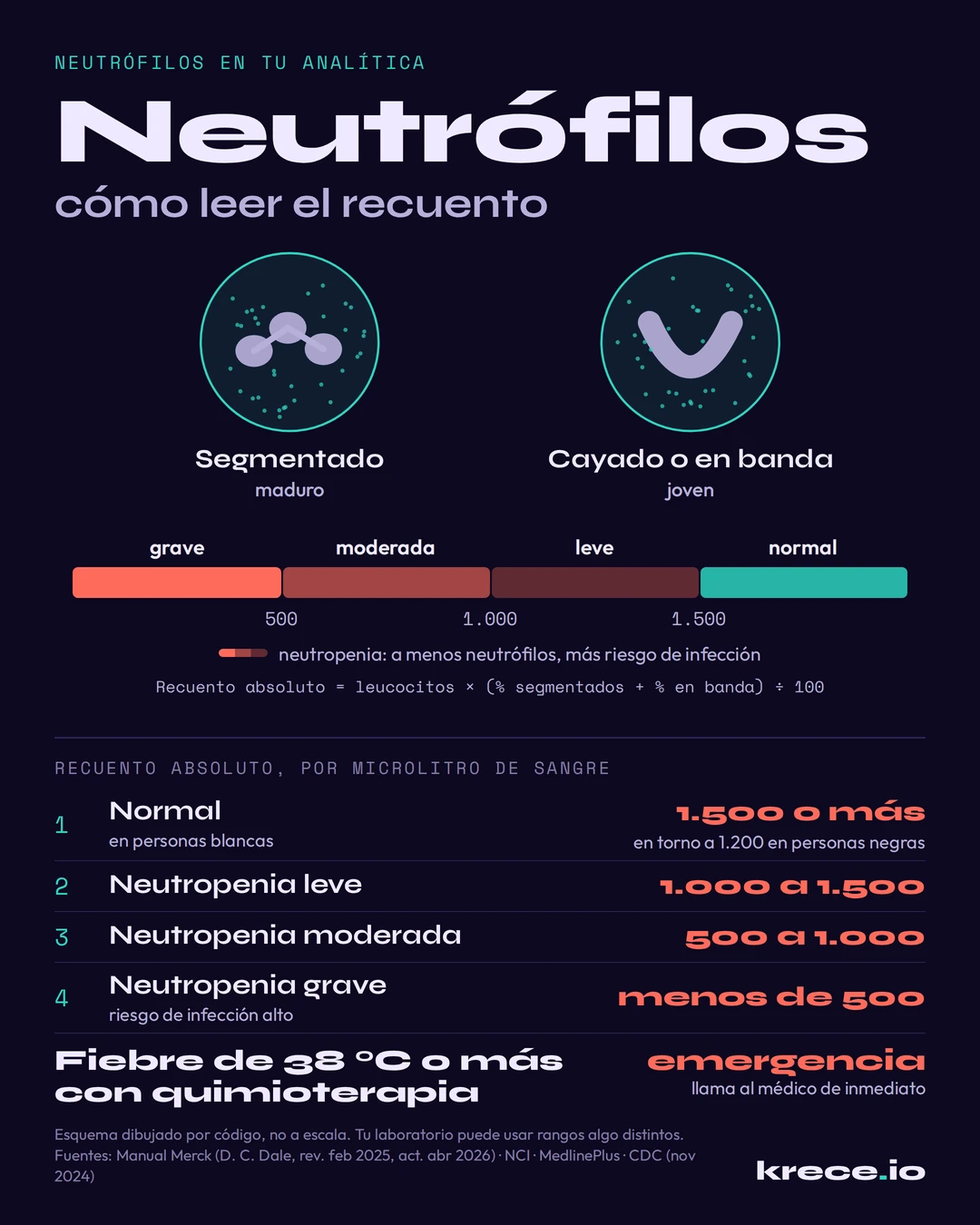 Neutr&oacute;filos en la anal&iacute;tica: esquema de un neutr&oacute;filo segmentado y otro en banda, y escala del recuento absoluto de neutr&oacute;filos con los grados de neutropenia.