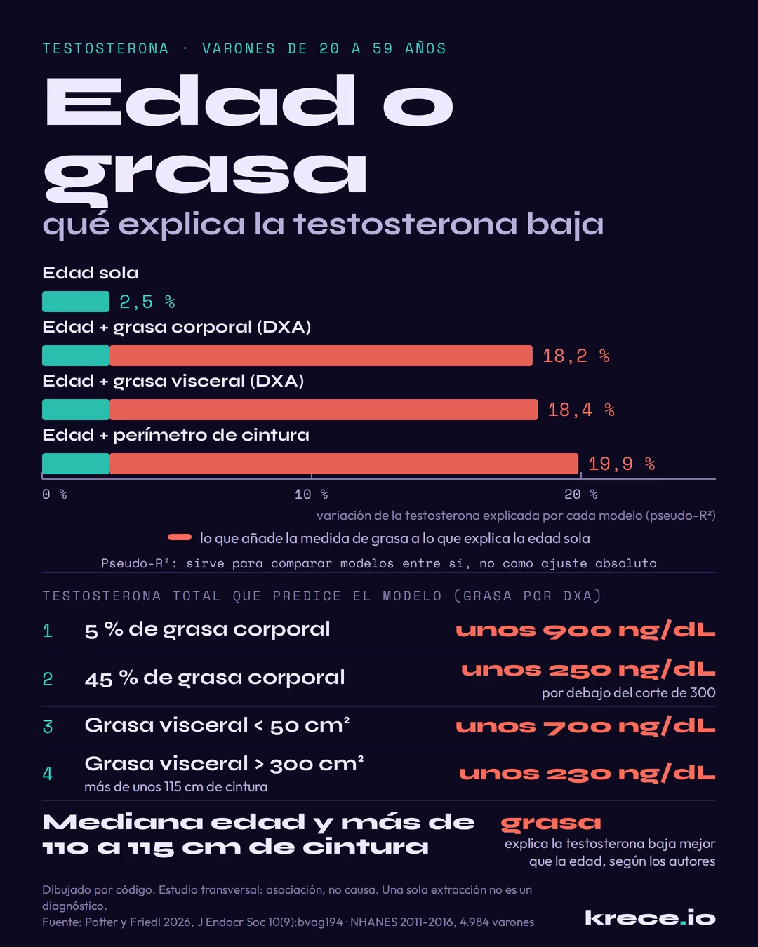 Testosterona en varones de 20 a 59 a&ntilde;os: la edad sola explica el 2,5 % de las diferencias entre ellos, y la edad con la grasa corporal, la grasa visceral o el per&iacute;metro de cintura, entre el 18,2 y el 19,9 %, con la testosterona que predice el modelo seg&uacute;n la grasa.
