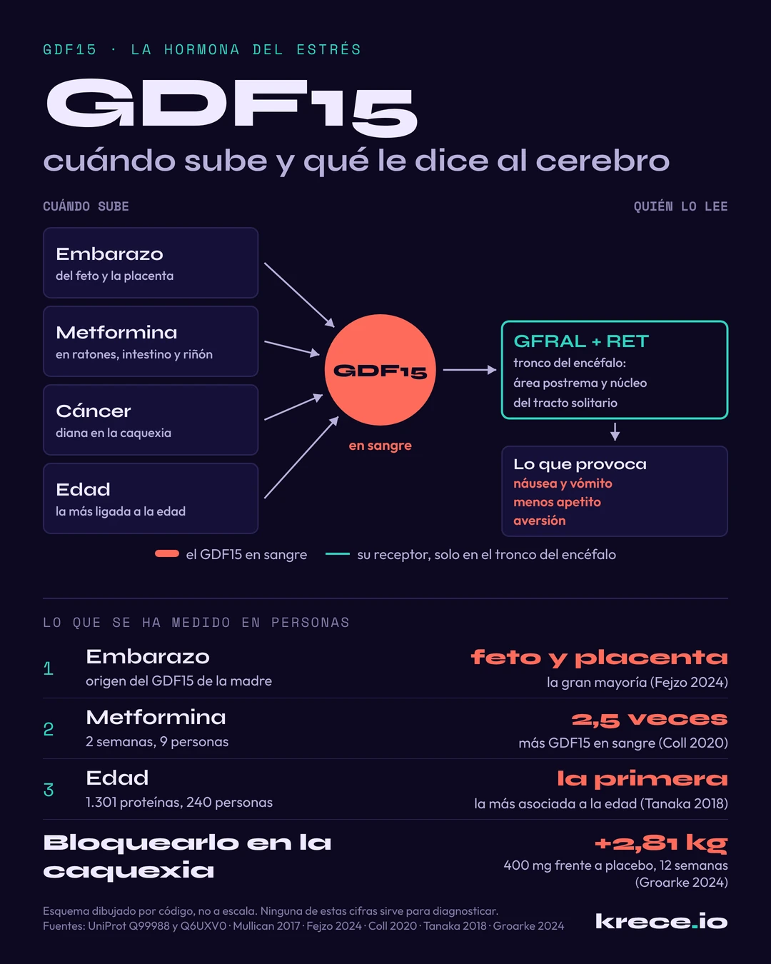 GDF15, la hormona del estr&eacute;s: sube en el embarazo, con la metformina, en el c&aacute;ncer y con la edad, y la lee el receptor GFRAL con RET en el tronco del enc&eacute;falo, que provoca n&aacute;usea, menos apetito y aversi&oacute;n.