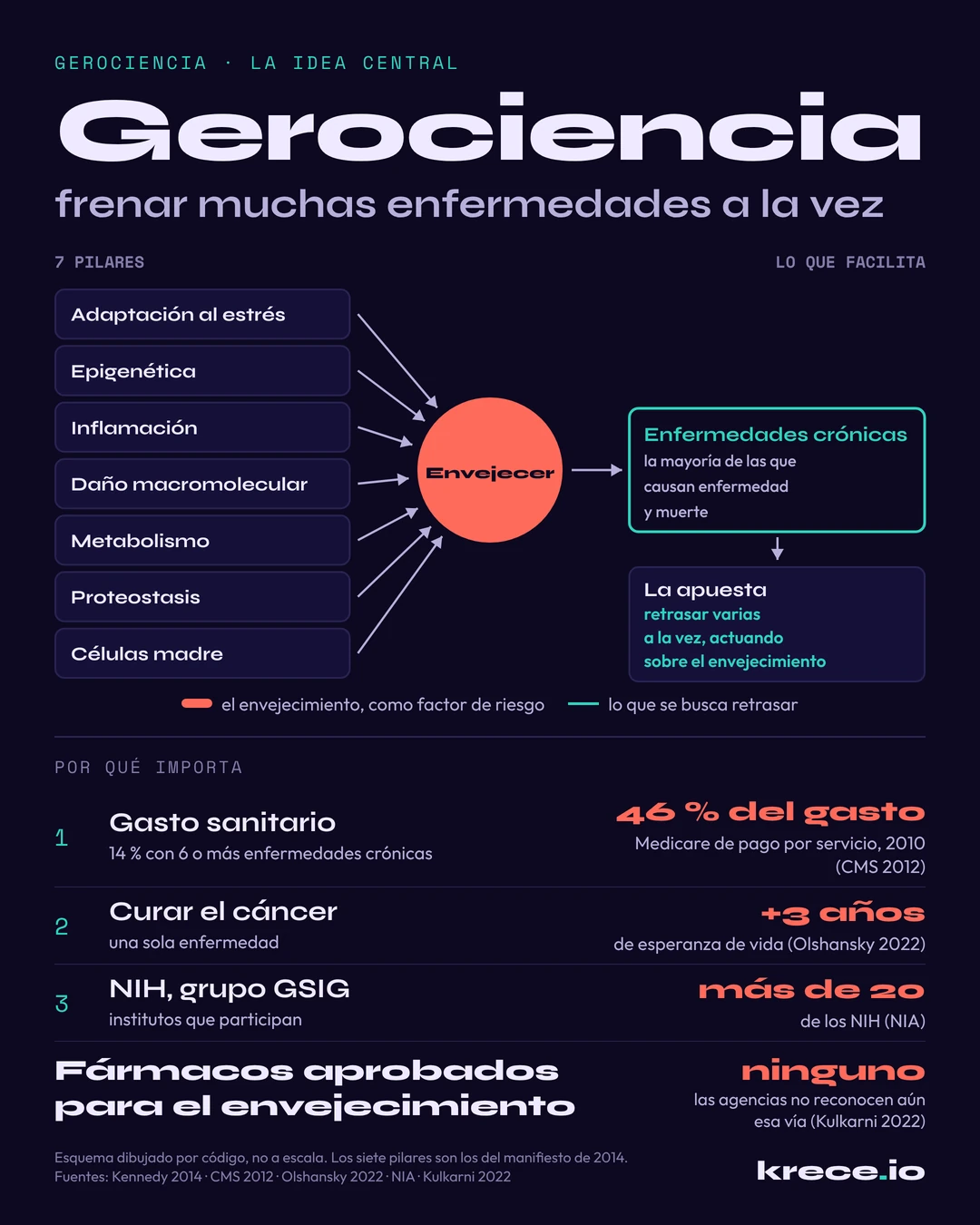 Gerociencia: los siete pilares del envejecimiento, de la adaptaci&oacute;n al estr&eacute;s a las c&eacute;lulas madre, lo convierten en el mayor factor de riesgo de la mayor&iacute;a de las enfermedades cr&oacute;nicas, y la apuesta es retrasar varias a la vez.