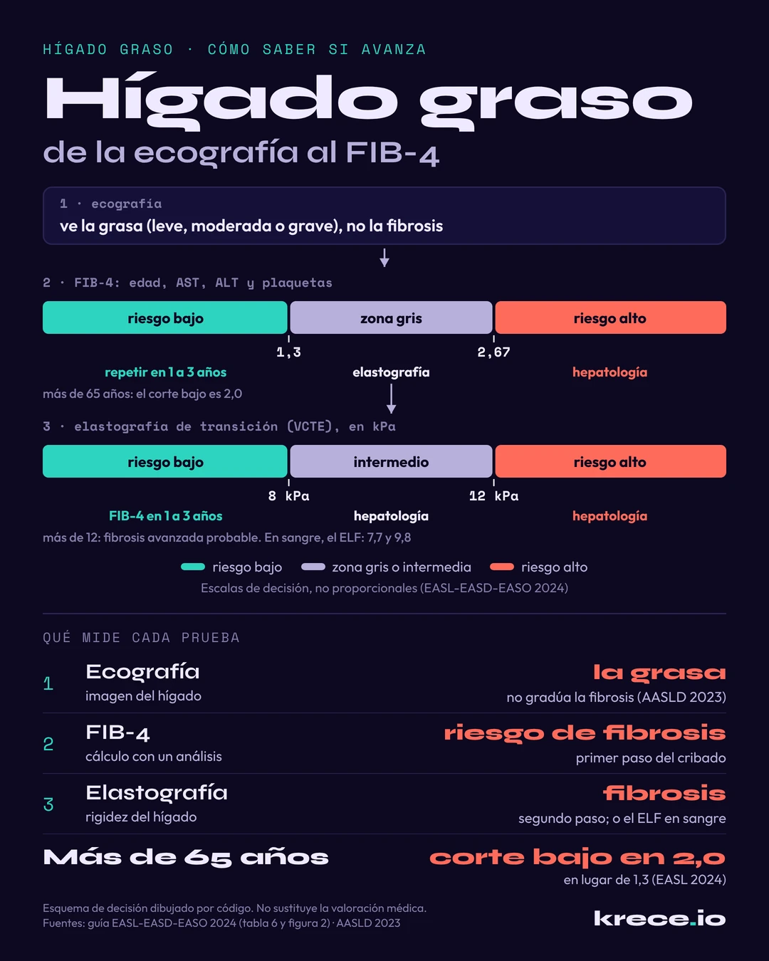 H&iacute;gado graso: el camino de la gu&iacute;a europea, de la ecograf&iacute;a que ve la grasa al FIB-4 y la elastograf&iacute;a que estiman la fibrosis, con sus puntos de corte.